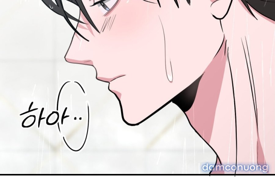 [18+] Người Thu Thập 