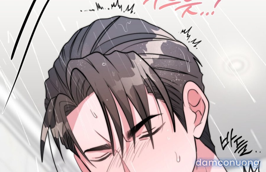 [18+] Người Thu Thập 