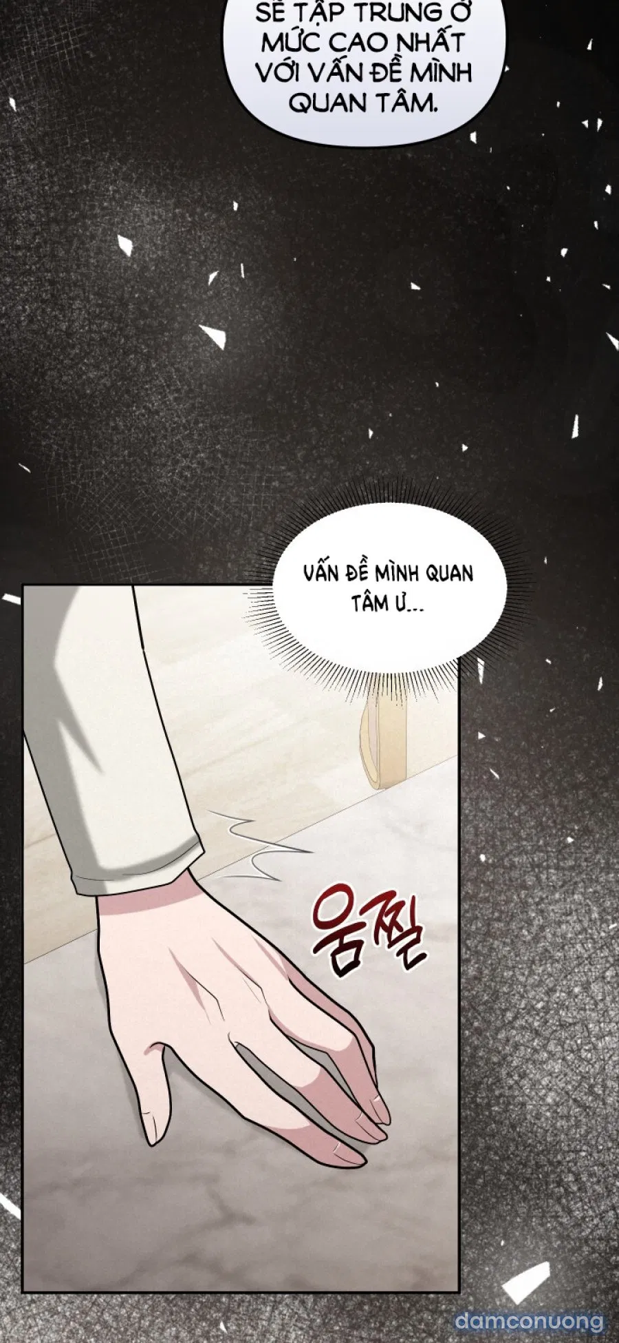 [18+] Người Thu Thập 