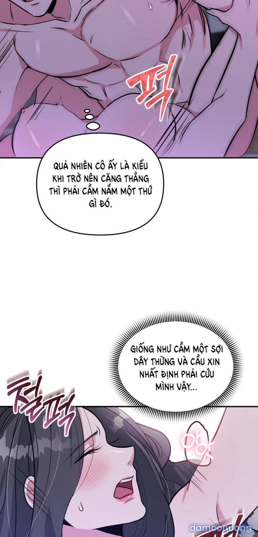 [18+] Người Thu Thập 