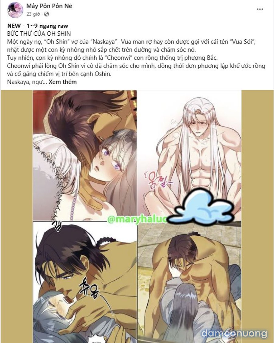 [18+] Người Thu Thập 
