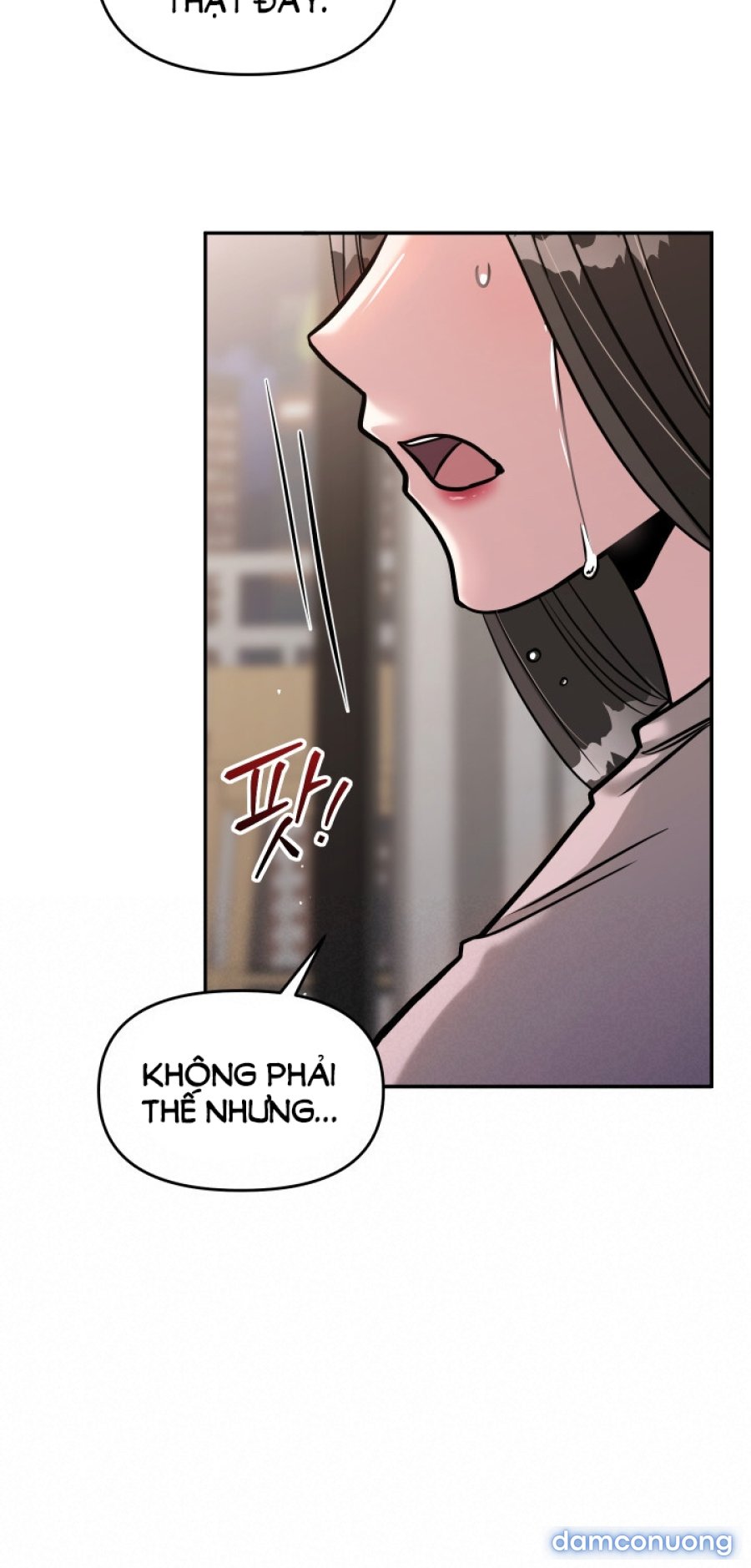 [18+] Người Thu Thập 