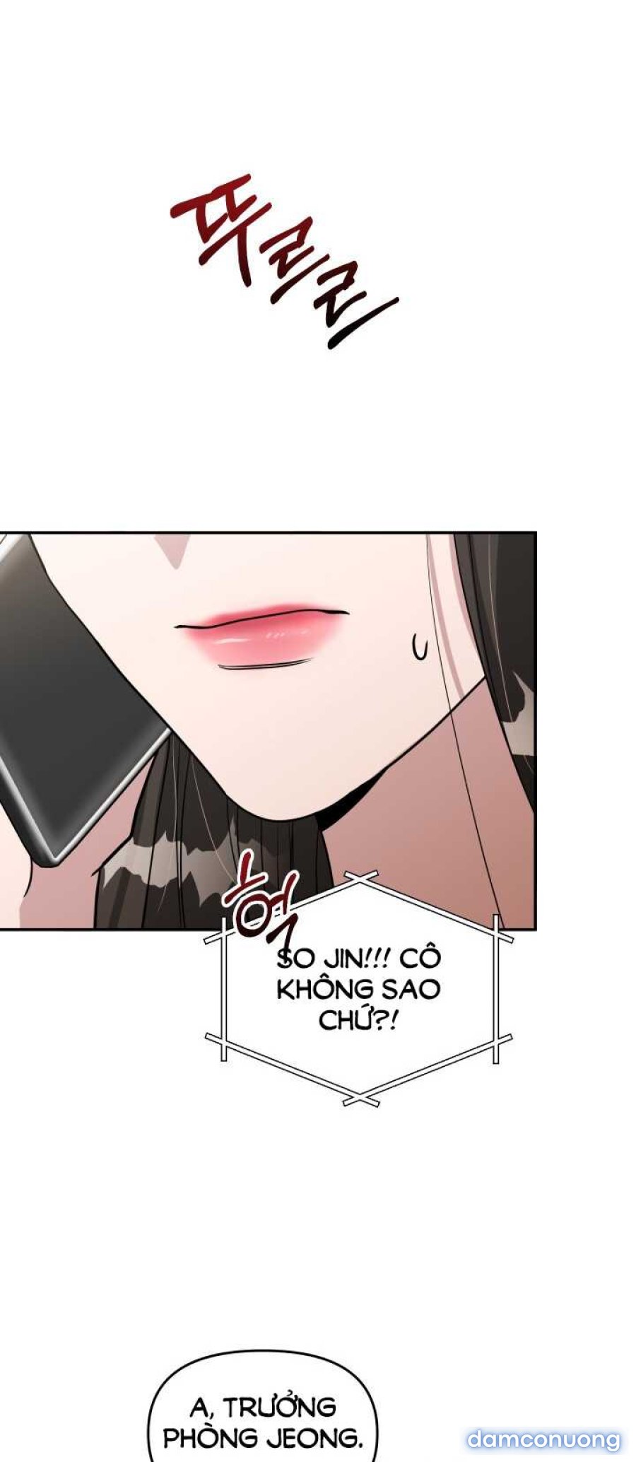 [18+] Người Thu Thập 