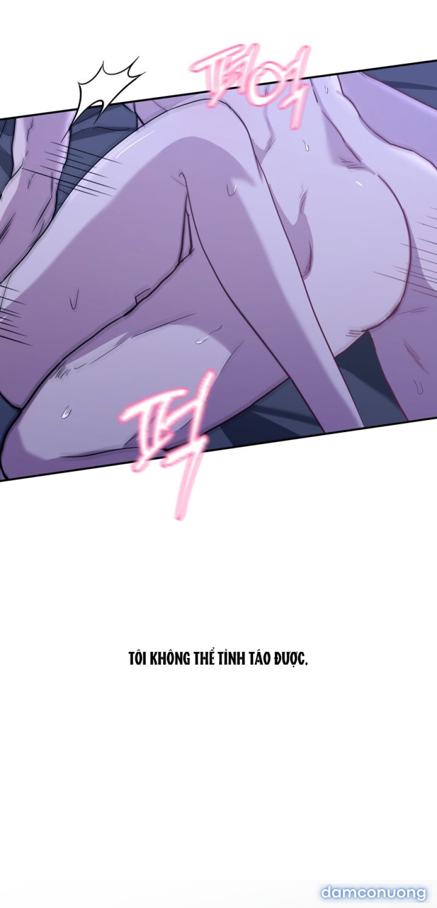 [18+] Người Thu Thập 