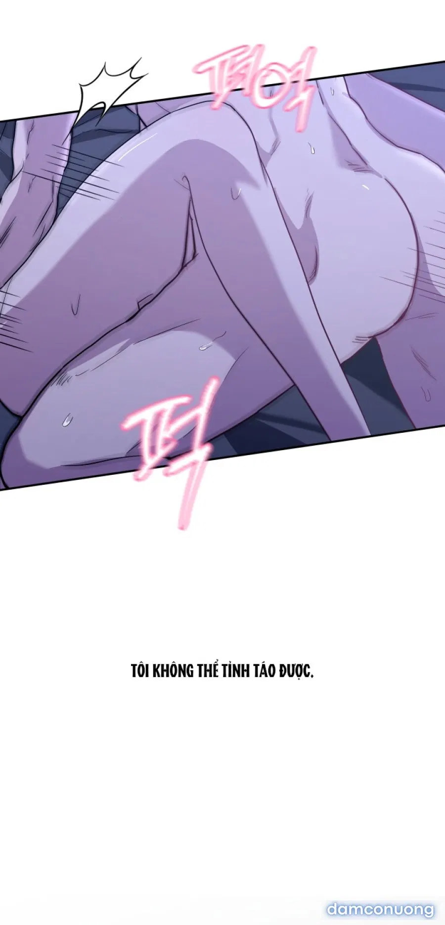 [18+] Người Thu Thập 