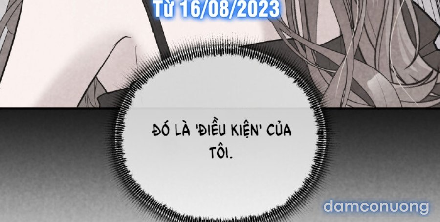 [18+] Người Thu Thập 