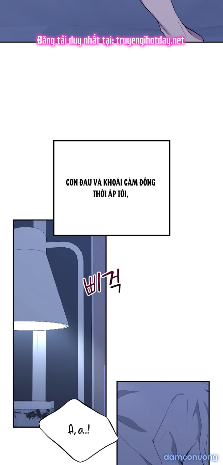 [18+] Người Thu Thập 