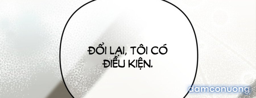 [18+] Người Thu Thập 