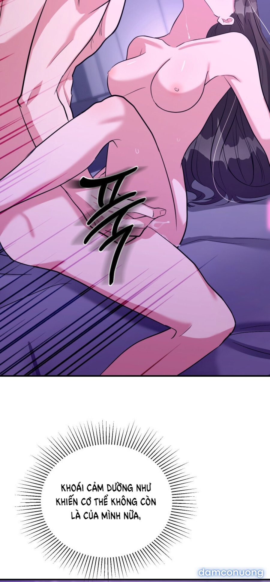[18+] Người Thu Thập 