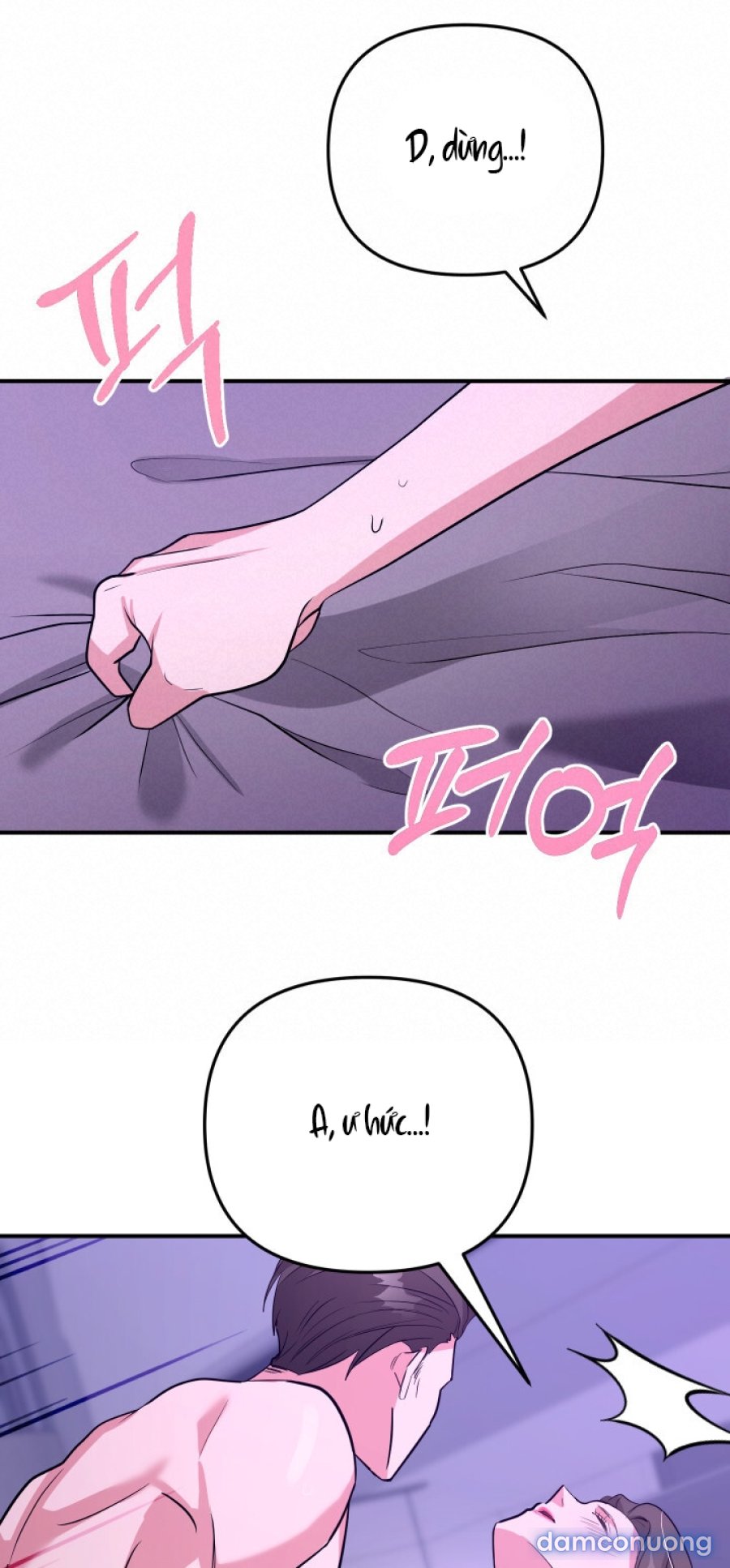 [18+] Người Thu Thập 