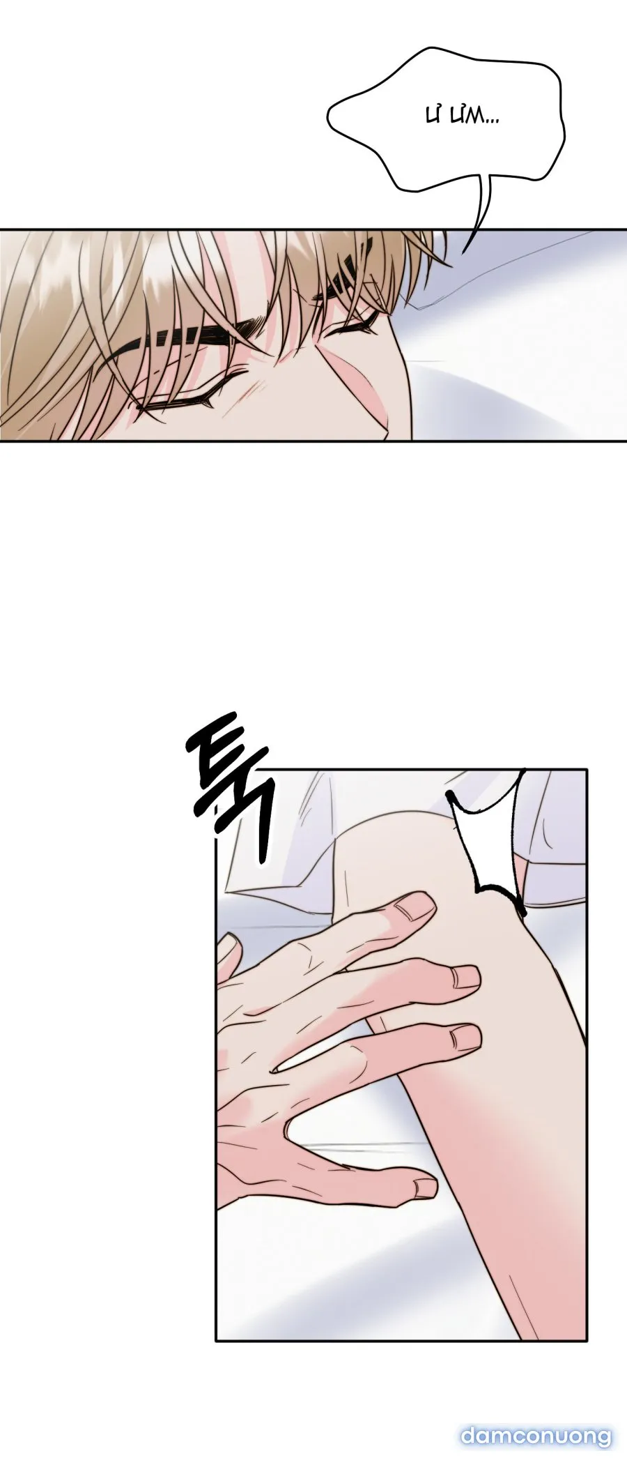 [18+] Tình Yêu Viêm Xoang 