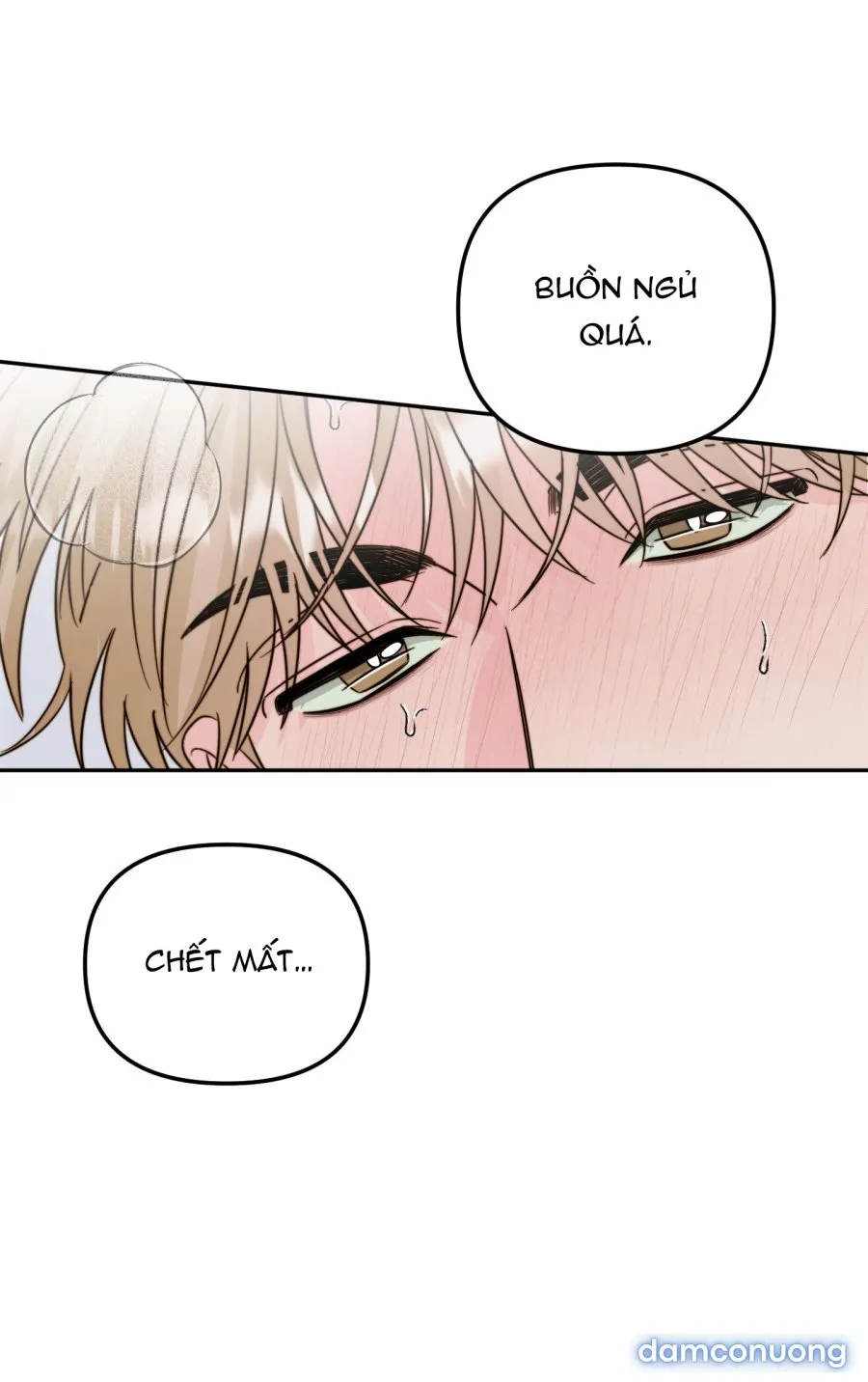 [18+] Tình Yêu Viêm Xoang 