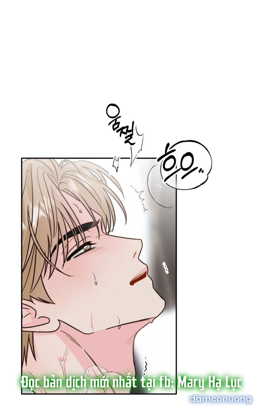 [18+] Tình Yêu Viêm Xoang 
