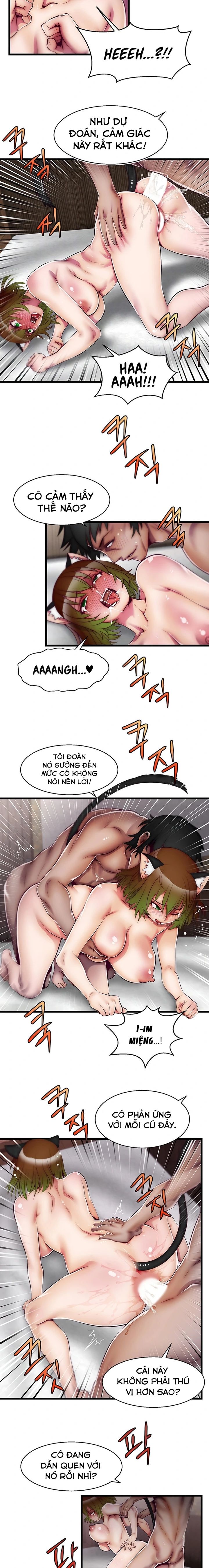 Elf Thực Tế Ảo 