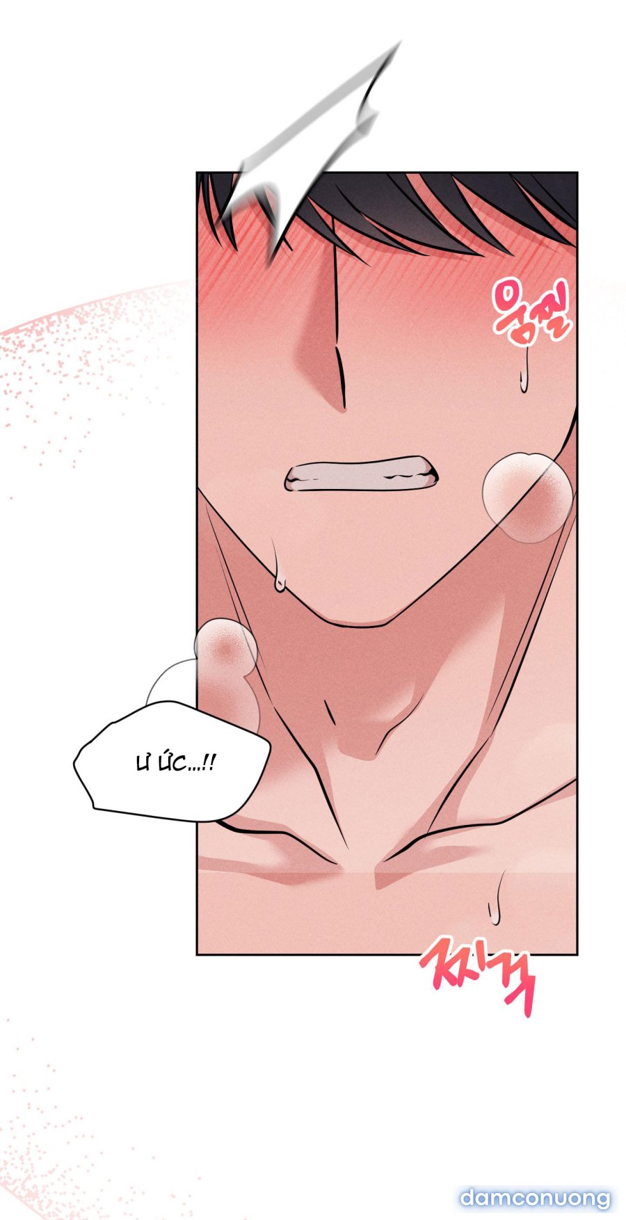 [18+] Thành Người Yêu Kém Tuổi Từ Hôm Nay 