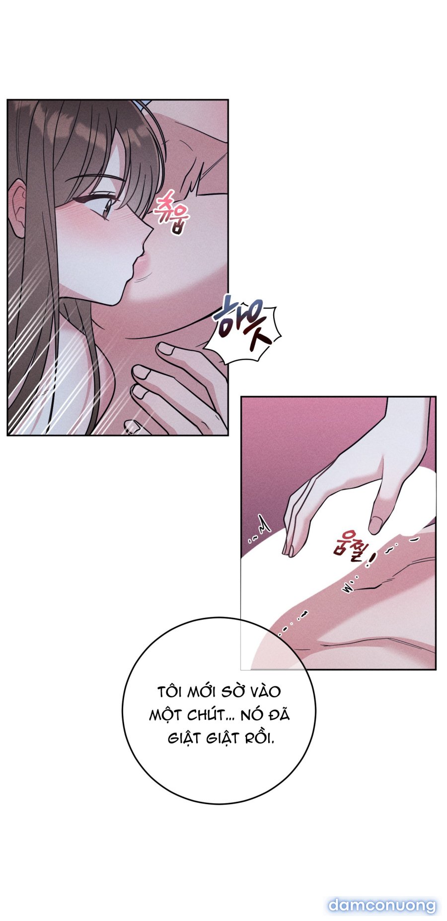 [18+] Thành Người Yêu Kém Tuổi Từ Hôm Nay 