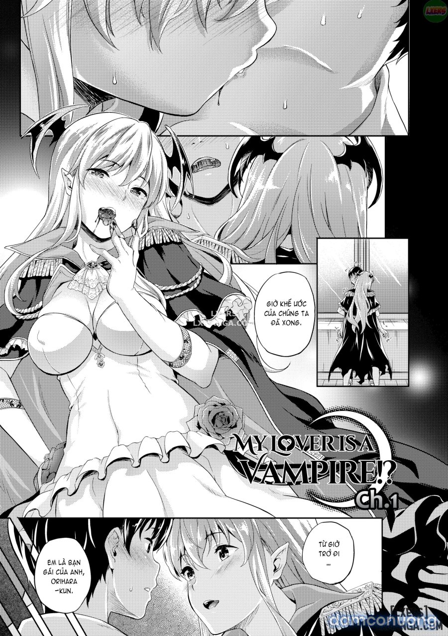 Người Yêu Của Tôi Là Vampire 