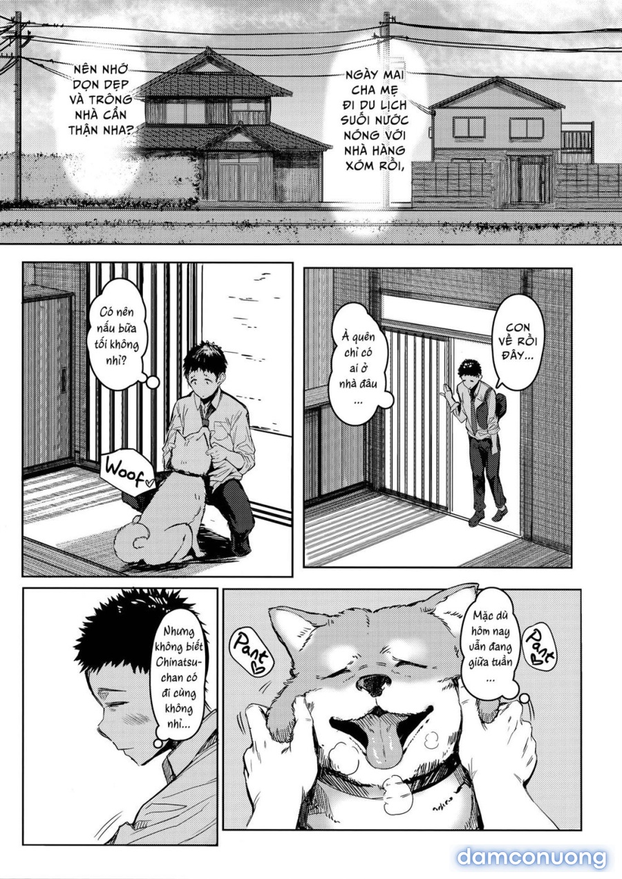 Cô em gái hàng xóm Chinatsu-chan 