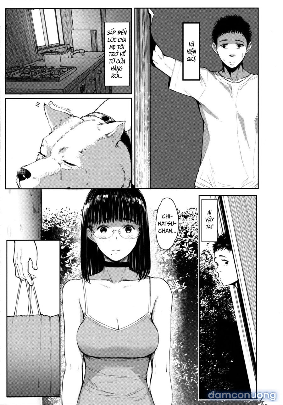 Cô em gái hàng xóm Chinatsu-chan 