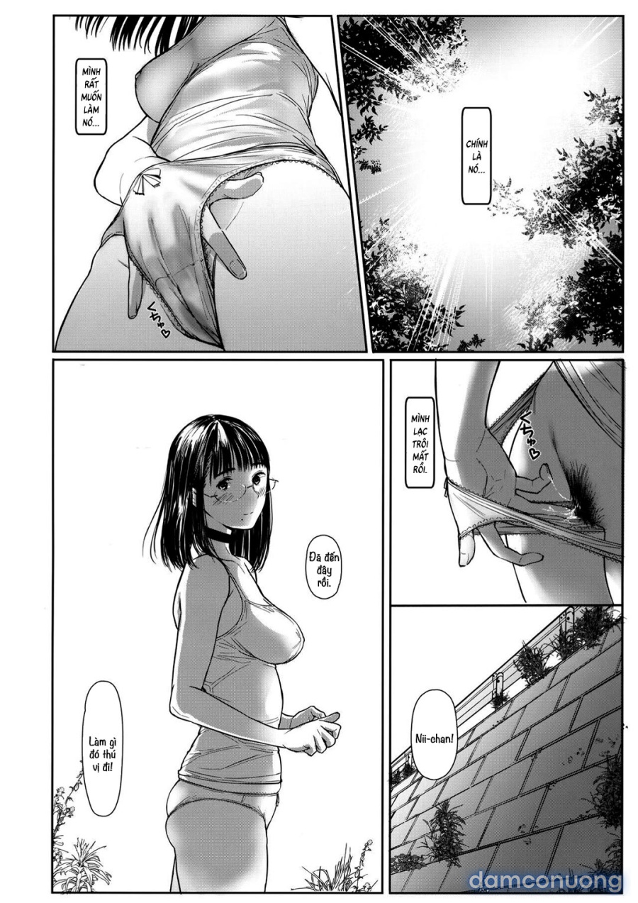 Cô em gái hàng xóm Chinatsu-chan 
