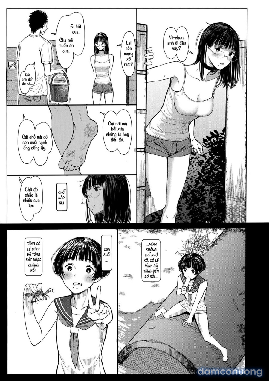 Cô em gái hàng xóm Chinatsu-chan 