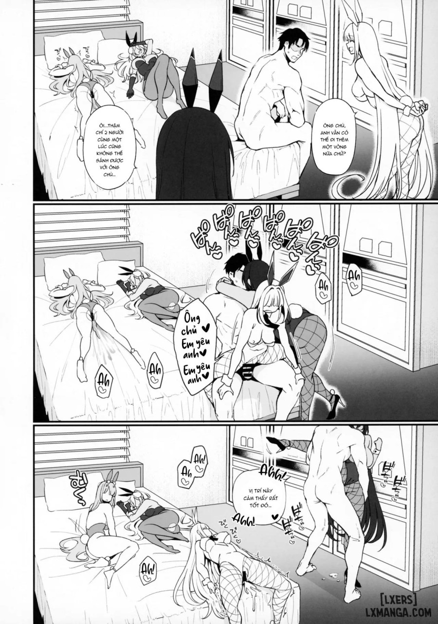 BUNNIES SHOWDOWN 