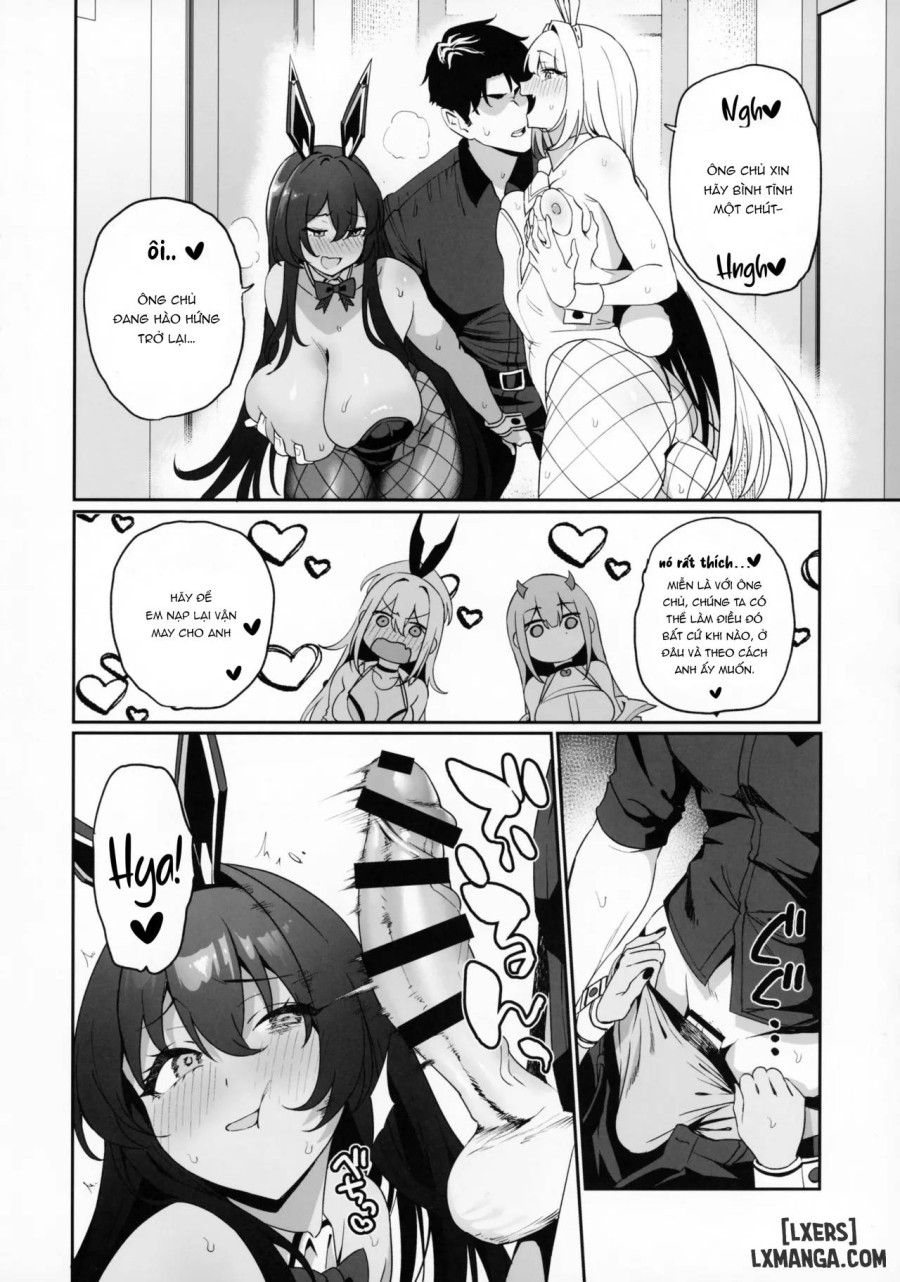 BUNNIES SHOWDOWN 