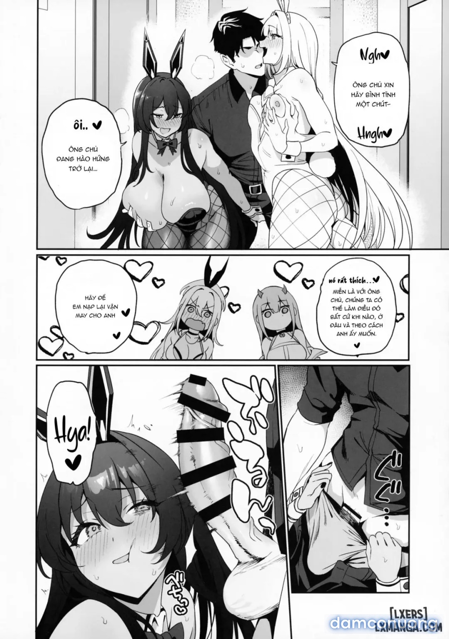 BUNNIES SHOWDOWN 