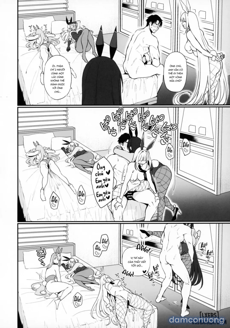 BUNNIES SHOWDOWN 