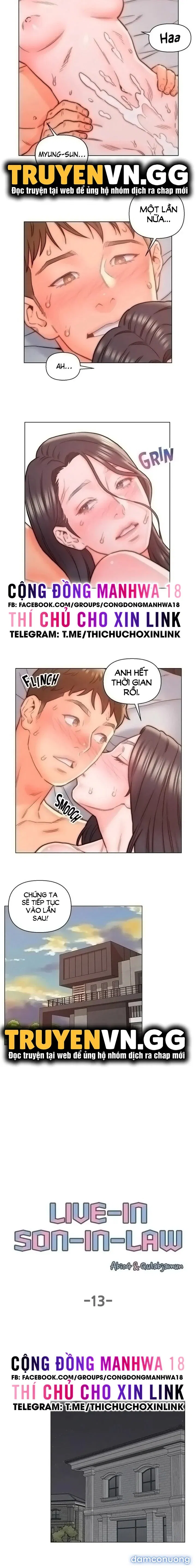 Con Rể Yêu 