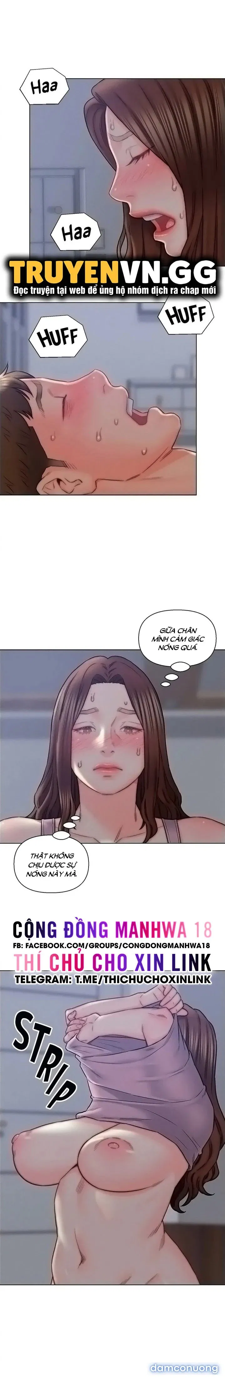 Con Rể Yêu 