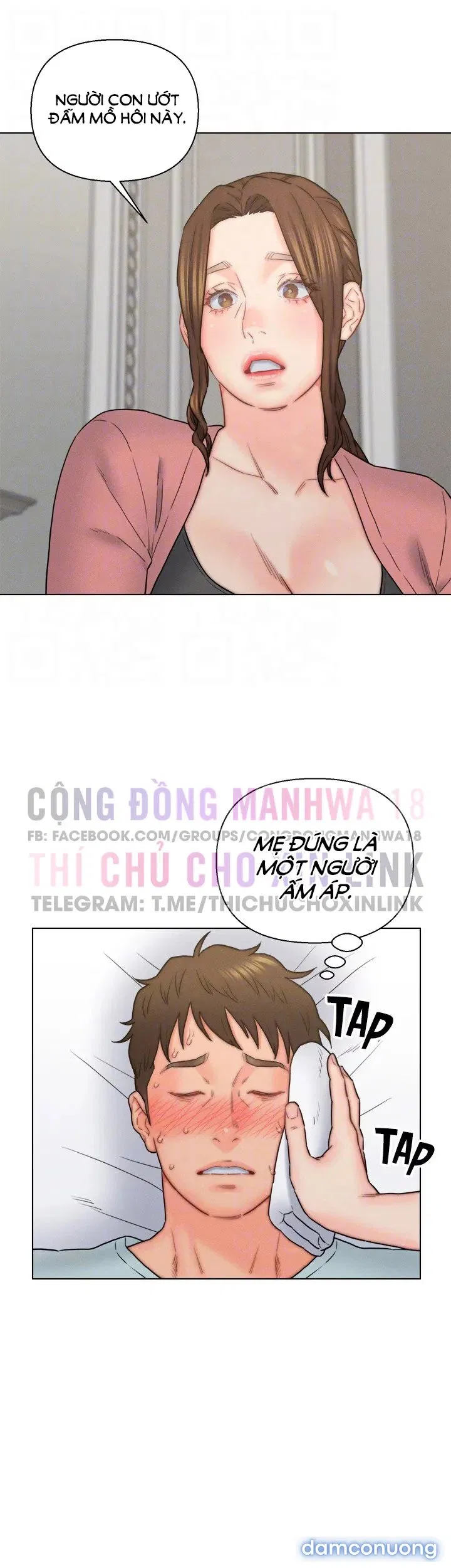 Con Rể Yêu 