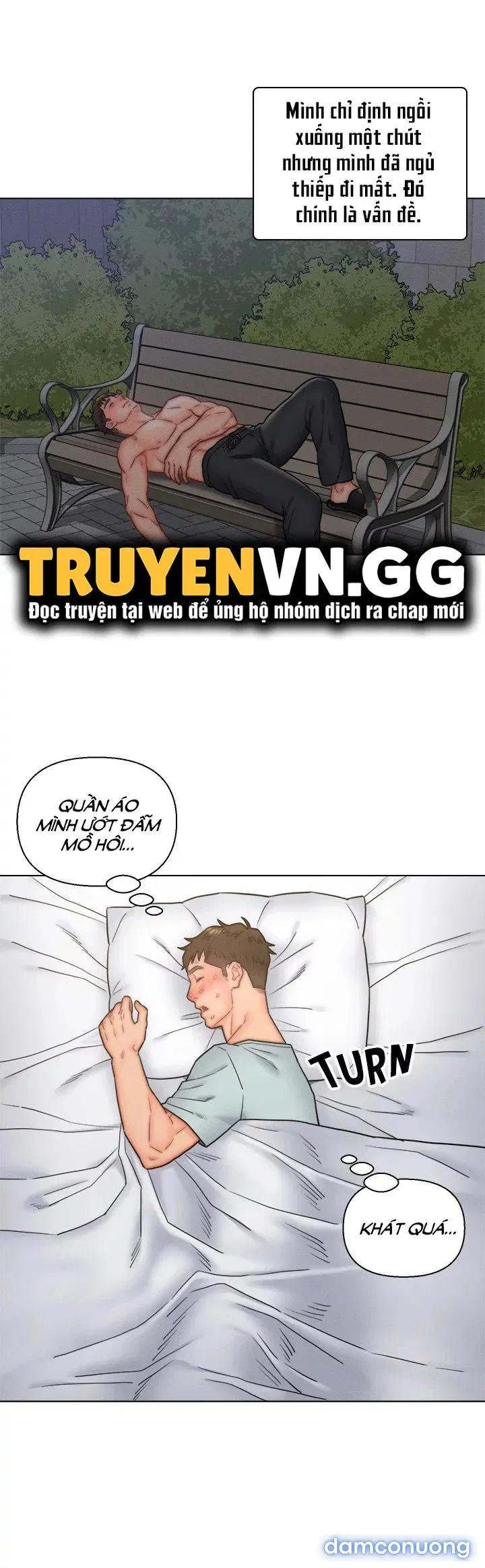 Con Rể Yêu 