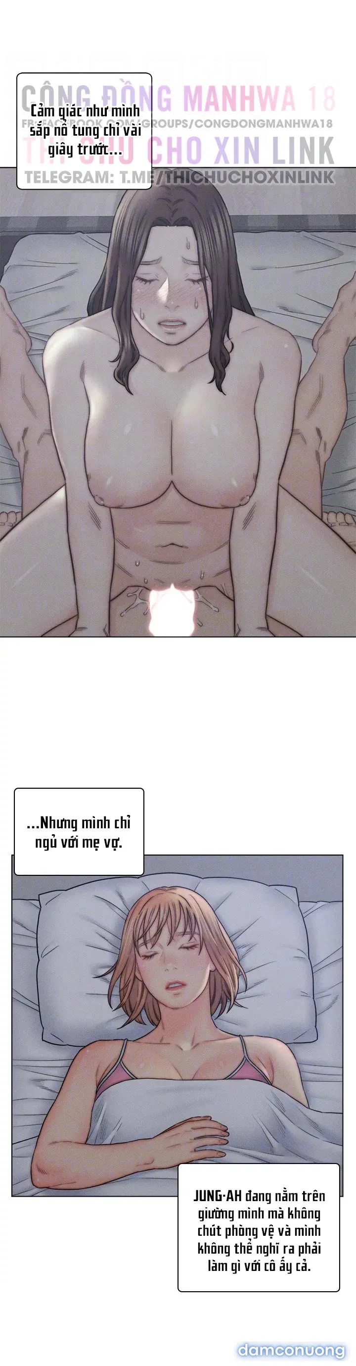 Con Rể Yêu 
