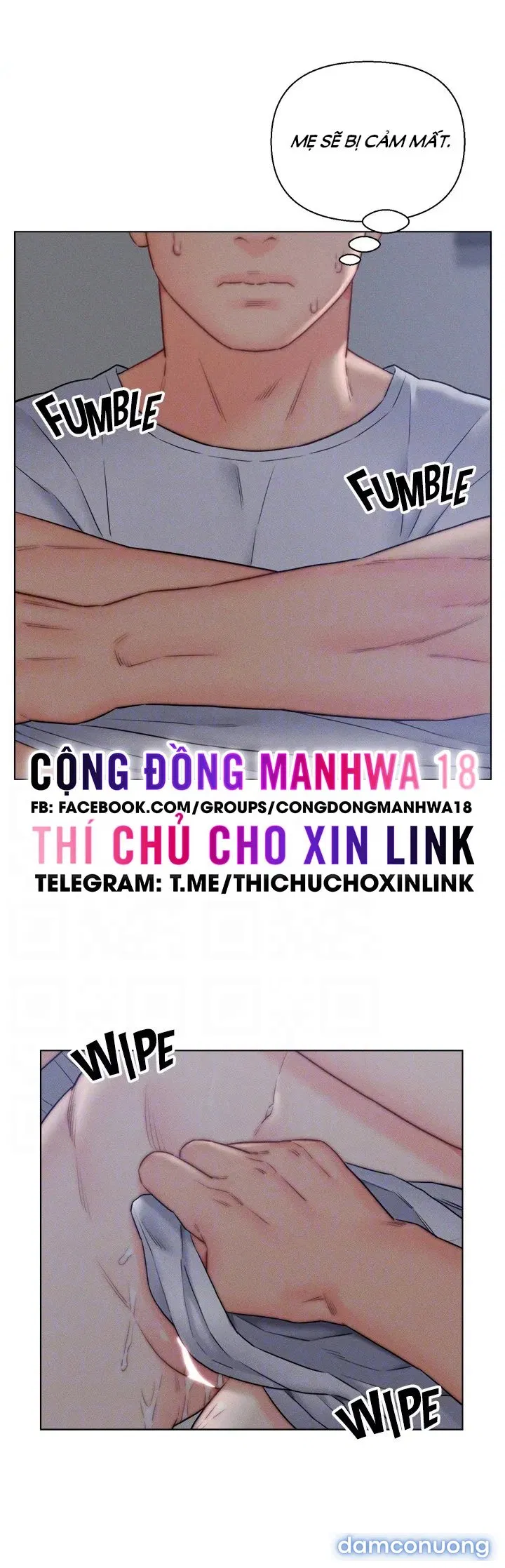 Con Rể Yêu 