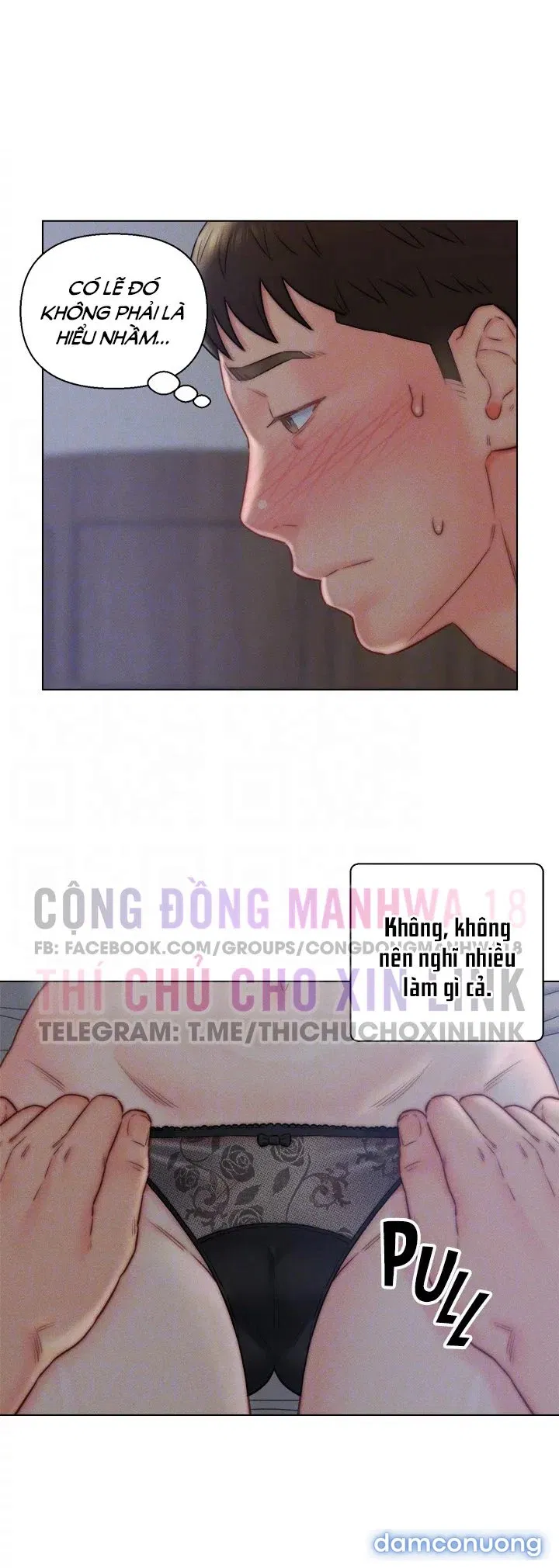 Con Rể Yêu 