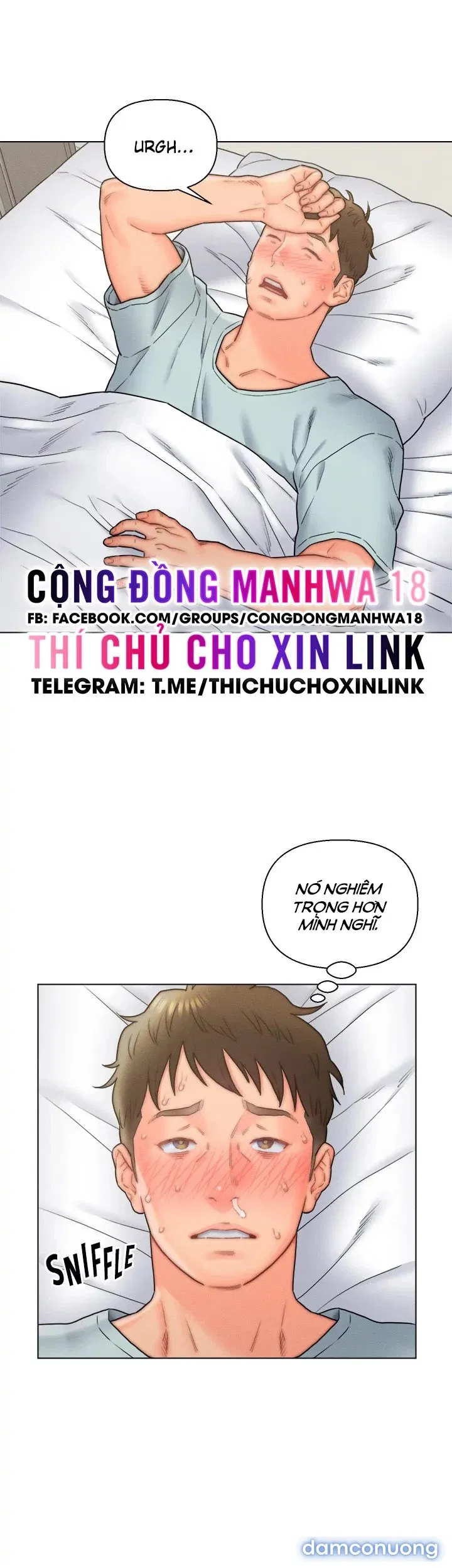 Con Rể Yêu 