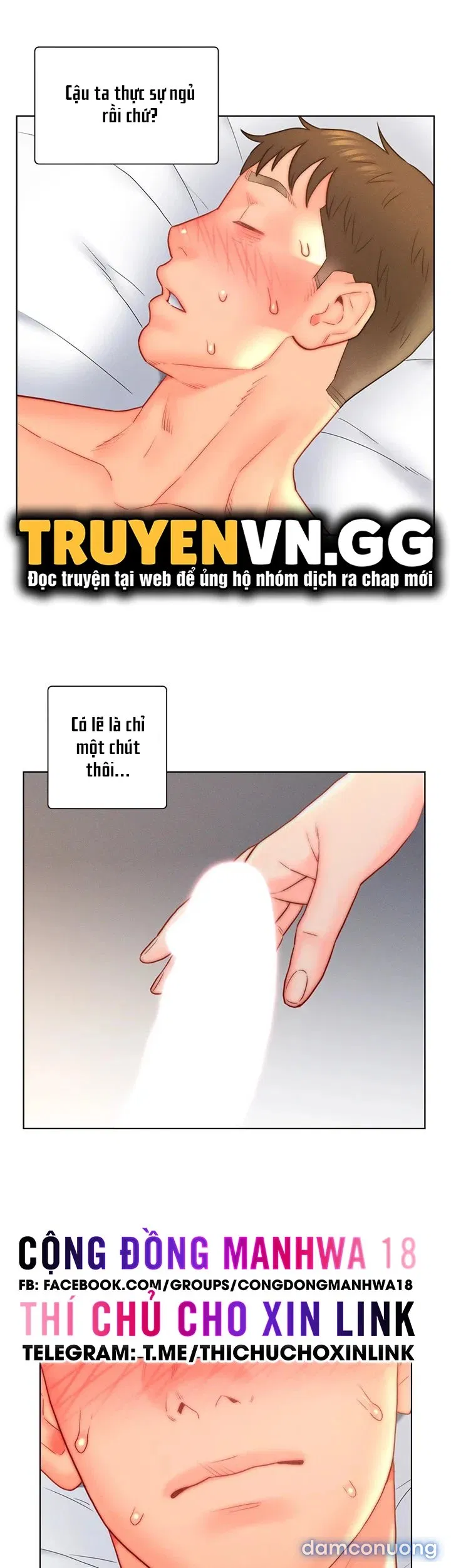 Con Rể Yêu 