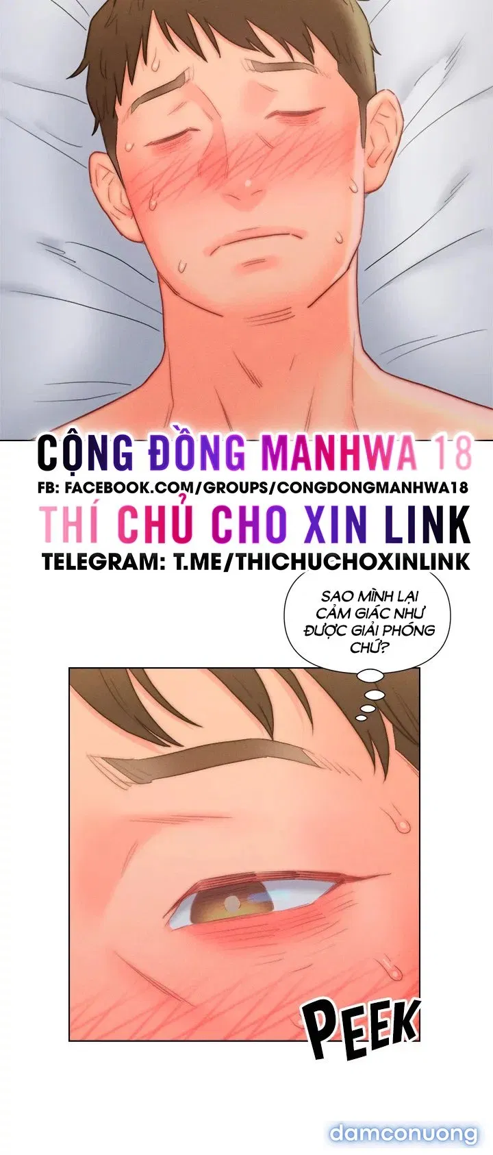 Con Rể Yêu 