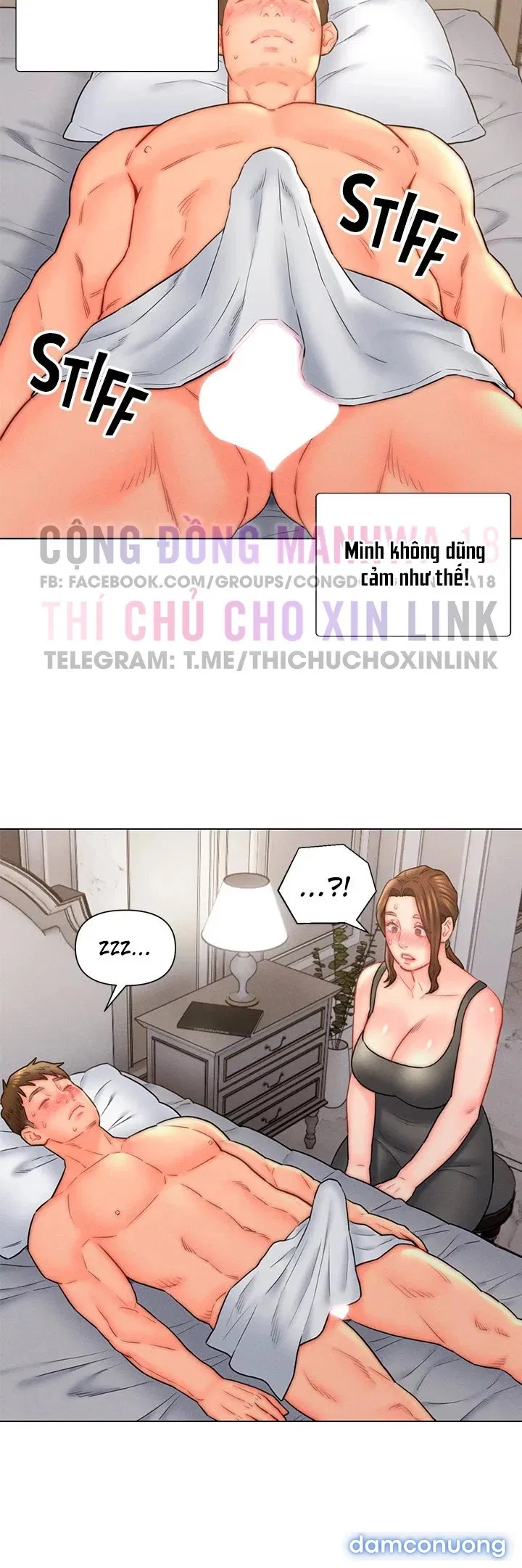 Con Rể Yêu 