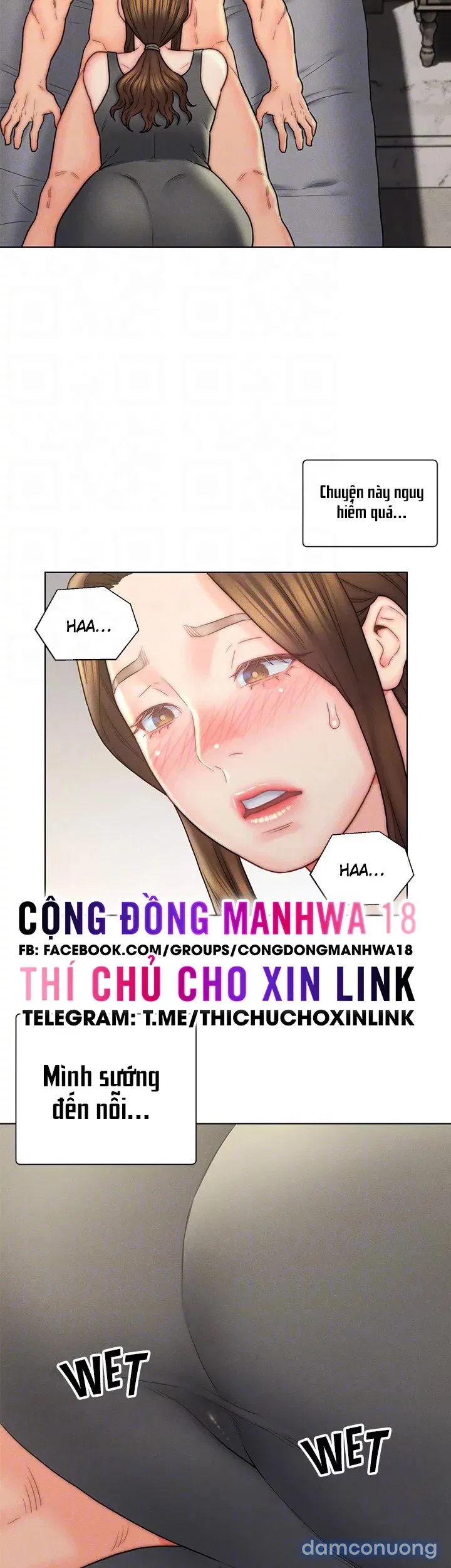 Con Rể Yêu 