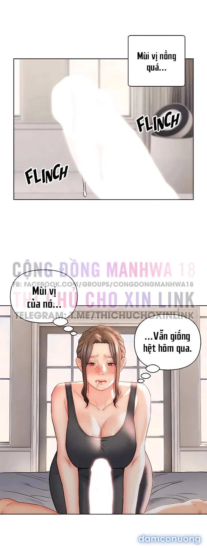 Con Rể Yêu 