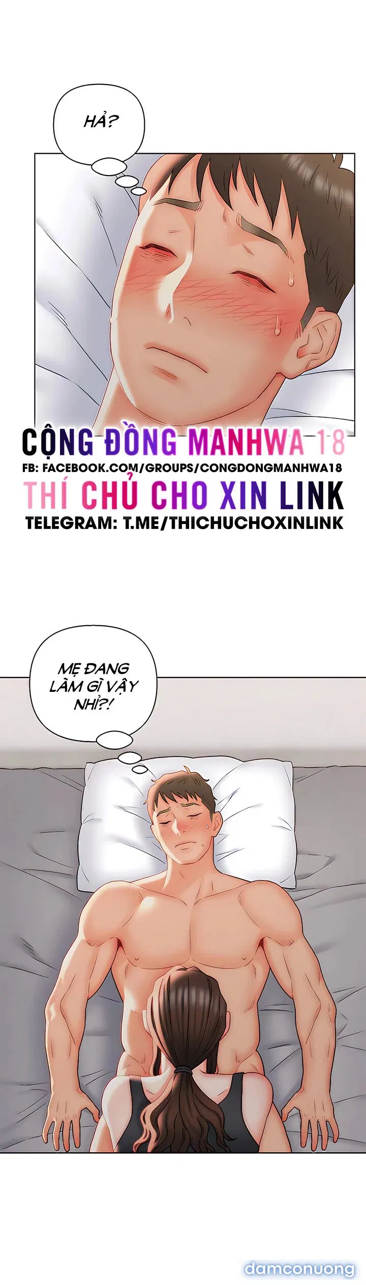 Con Rể Yêu 