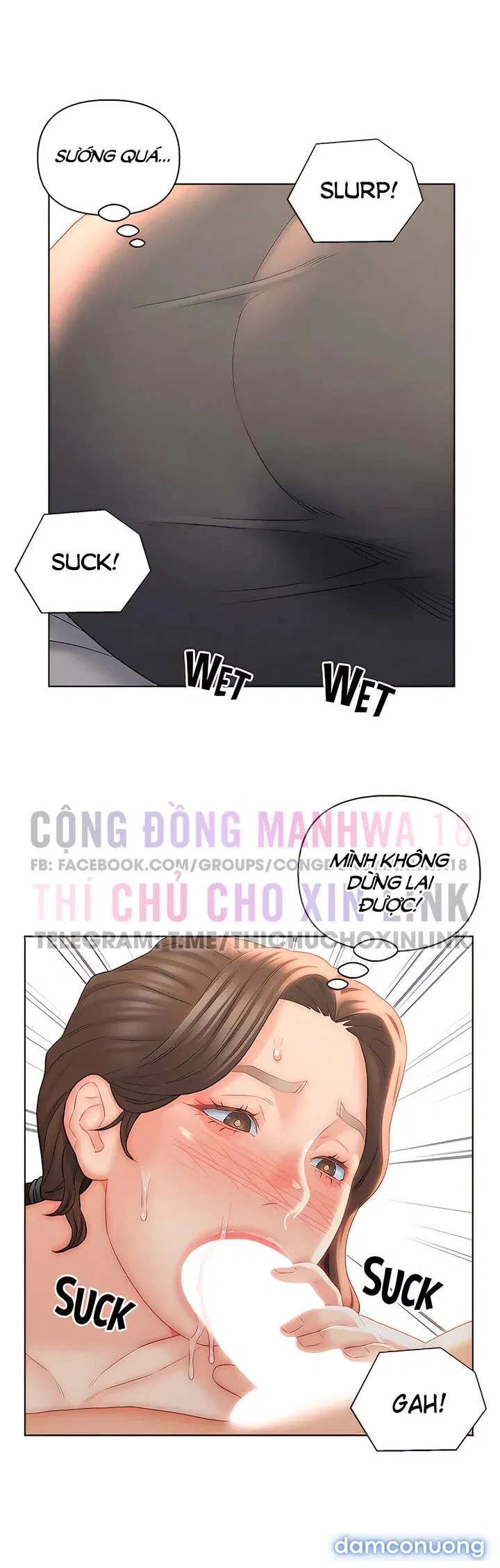 Con Rể Yêu 