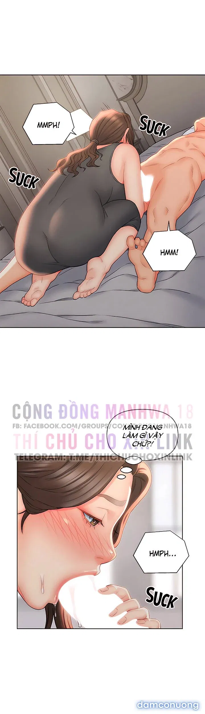 Con Rể Yêu 