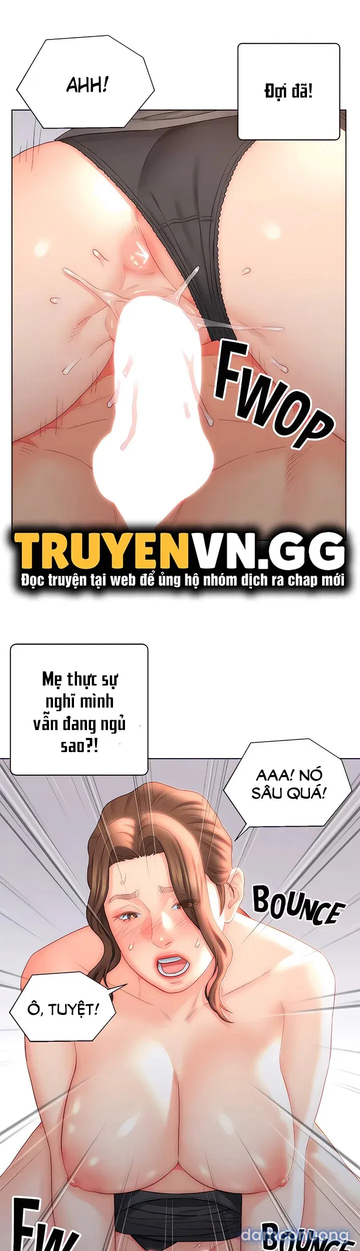 Con Rể Yêu 