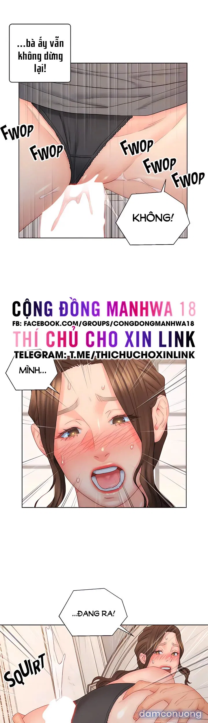 Con Rể Yêu 