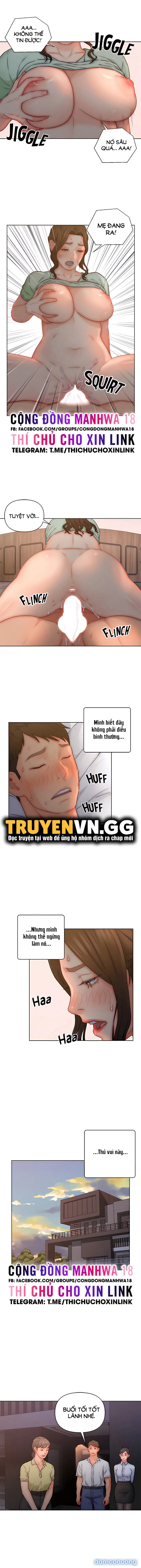 Con Rể Yêu 