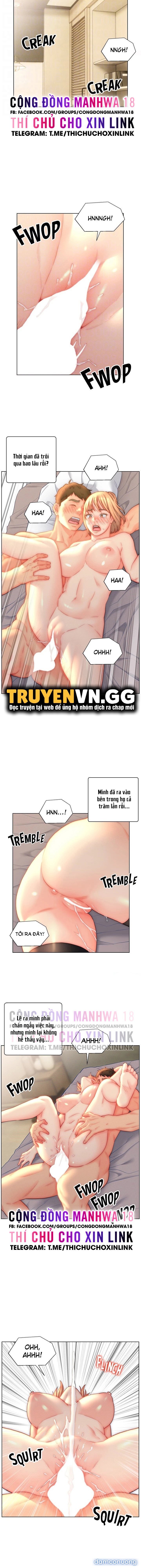 Con Rể Yêu 