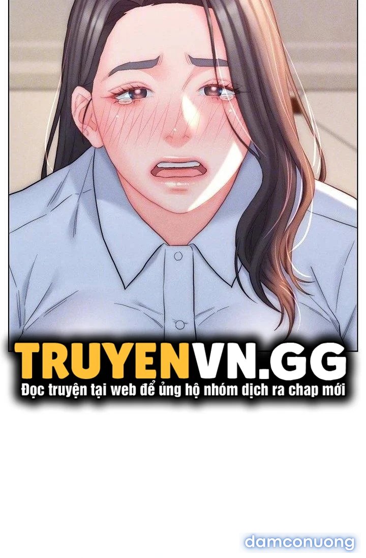 Con Rể Yêu 